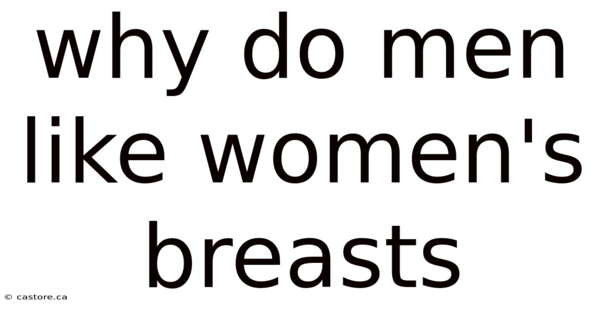 Why Do Men Like Women's Breasts
