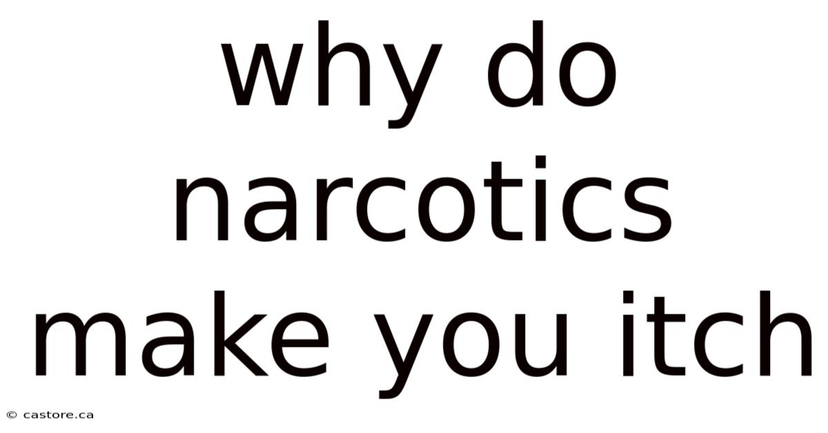 Why Do Narcotics Make You Itch