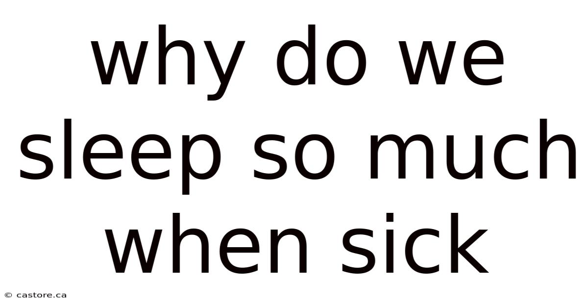 Why Do We Sleep So Much When Sick