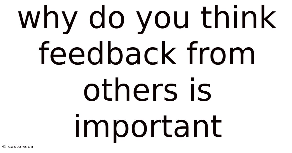 Why Do You Think Feedback From Others Is Important