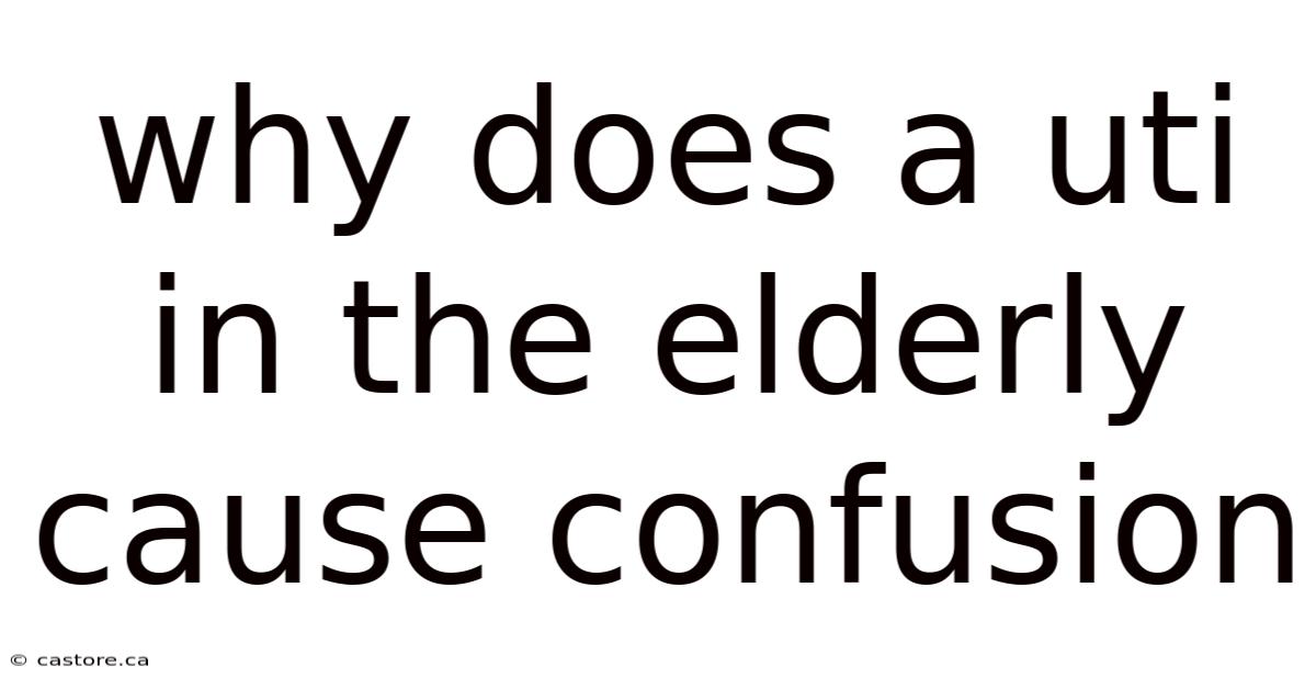 Why Does A Uti In The Elderly Cause Confusion
