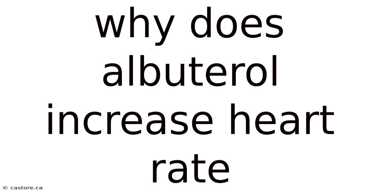 Why Does Albuterol Increase Heart Rate