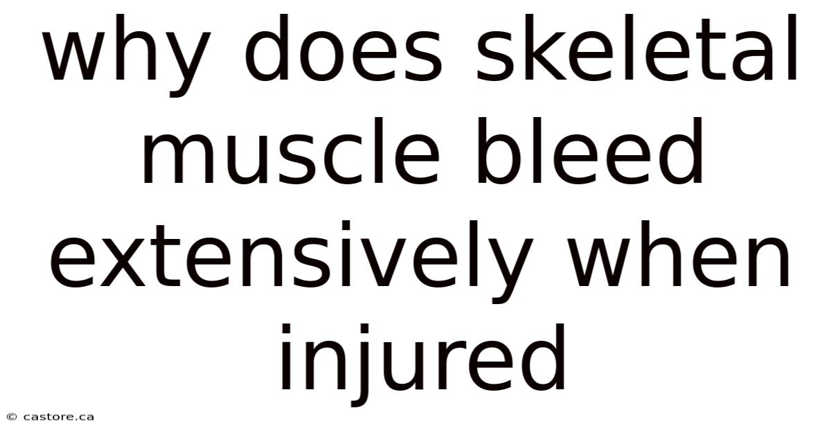 Why Does Skeletal Muscle Bleed Extensively When Injured