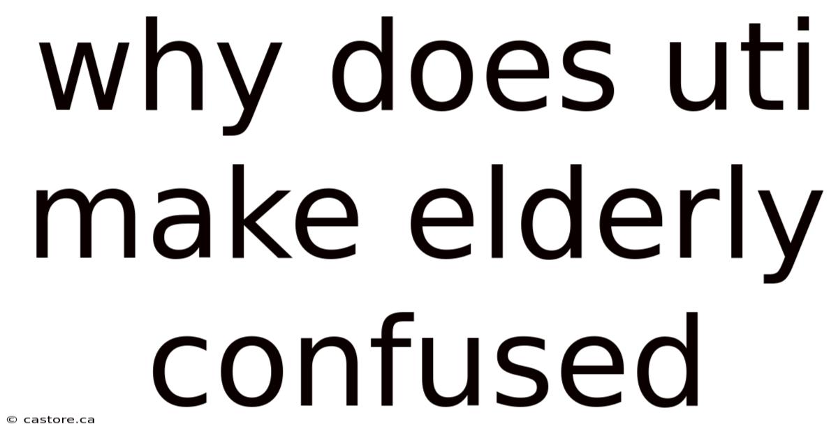 Why Does Uti Make Elderly Confused