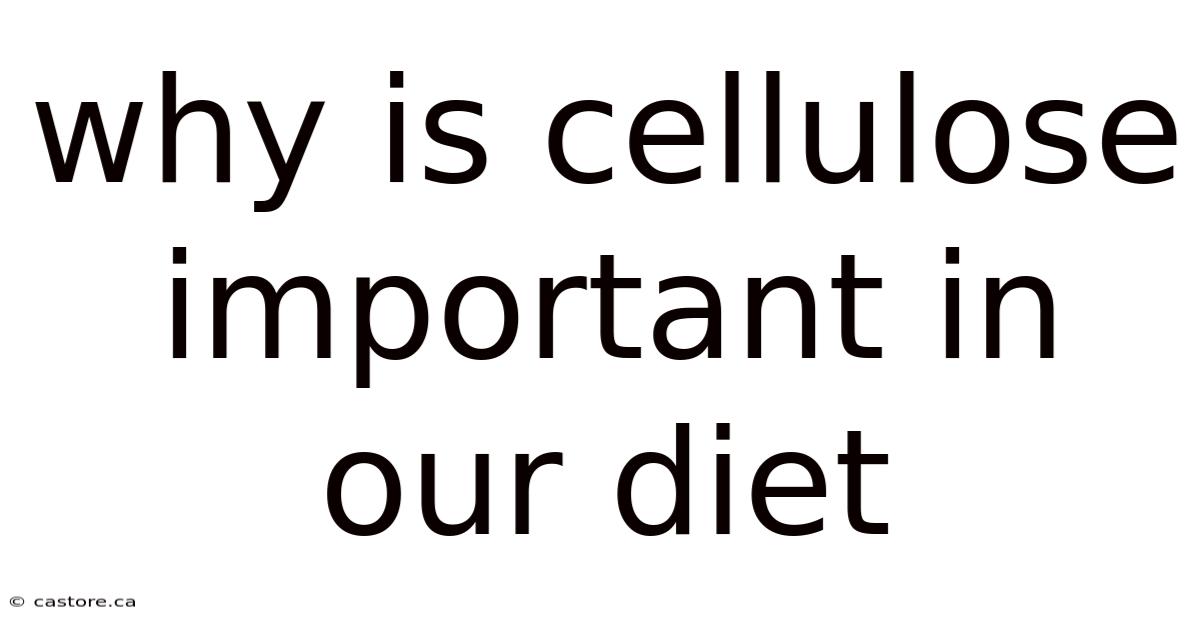 Why Is Cellulose Important In Our Diet