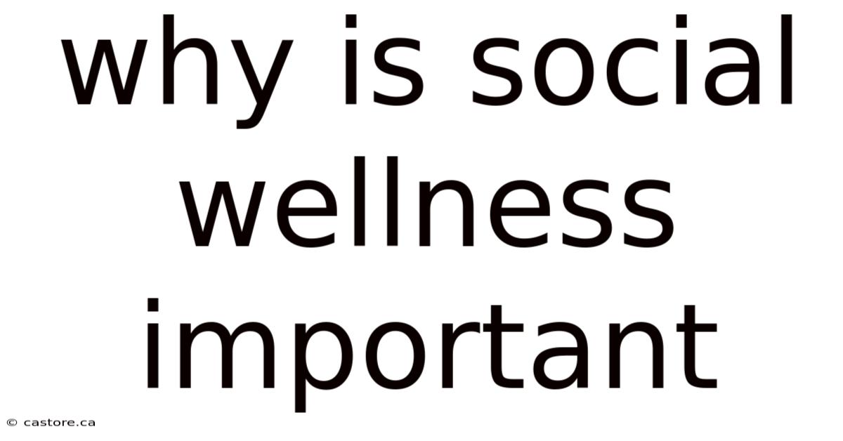 Why Is Social Wellness Important