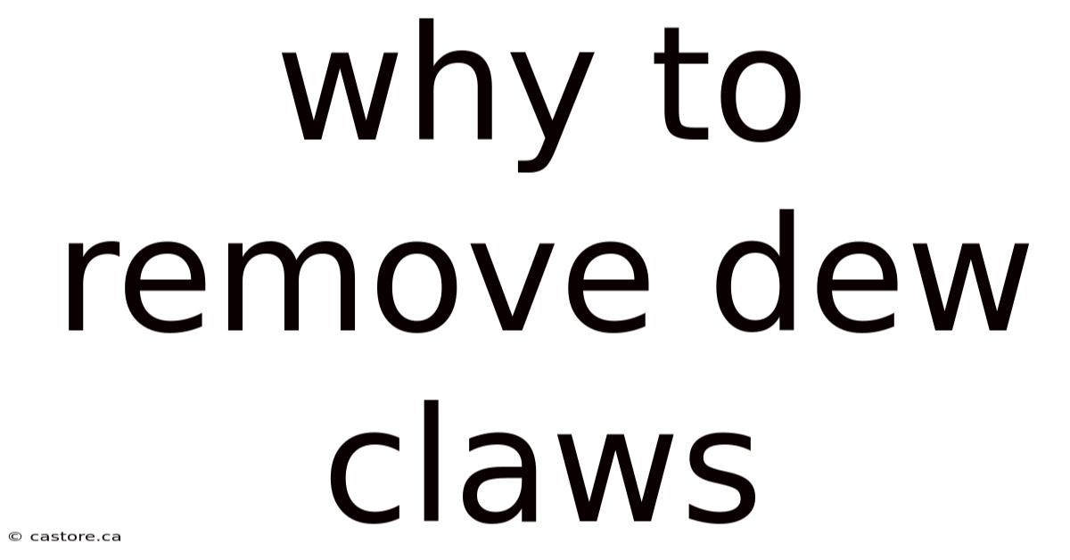 Why To Remove Dew Claws