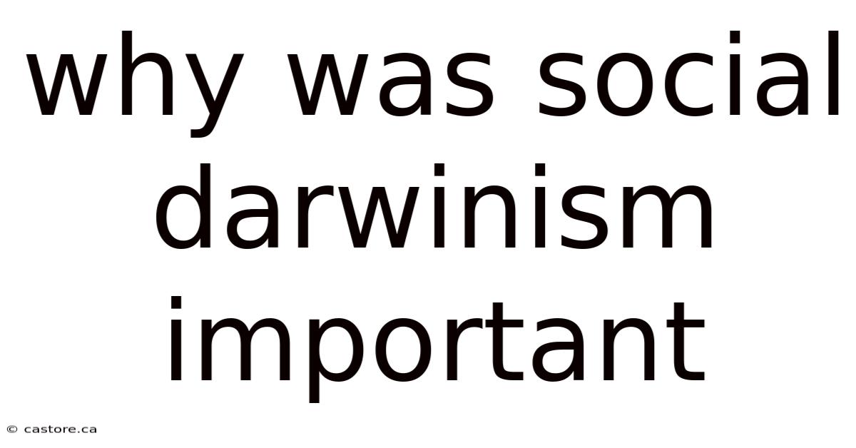 Why Was Social Darwinism Important