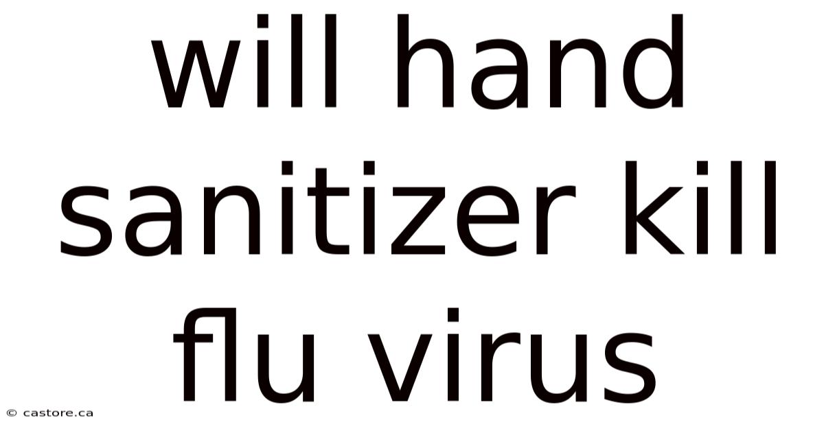Will Hand Sanitizer Kill Flu Virus